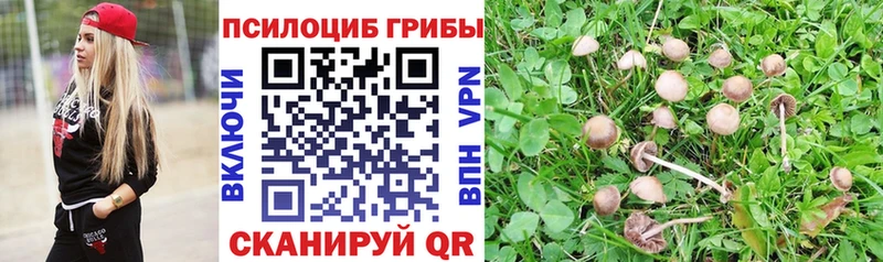Псилоцибиновые грибы Psilocybe  Кимры 